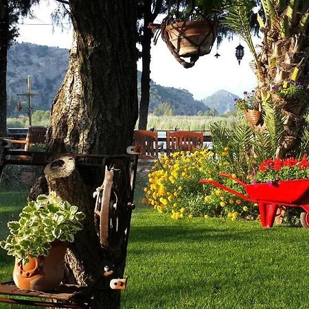 Hotel Happy Caretta Dalyan Ngoại thất bức ảnh