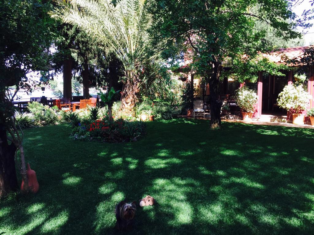 Hotel Happy Caretta Dalyan Ngoại thất bức ảnh