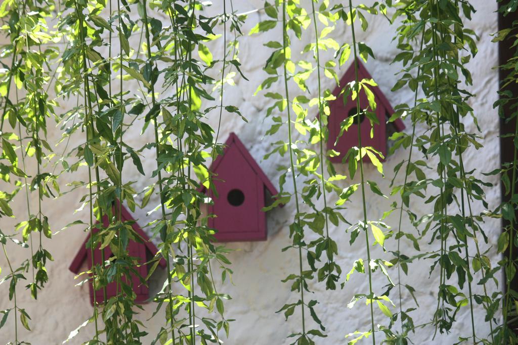 Hotel Happy Caretta Dalyan Ngoại thất bức ảnh
