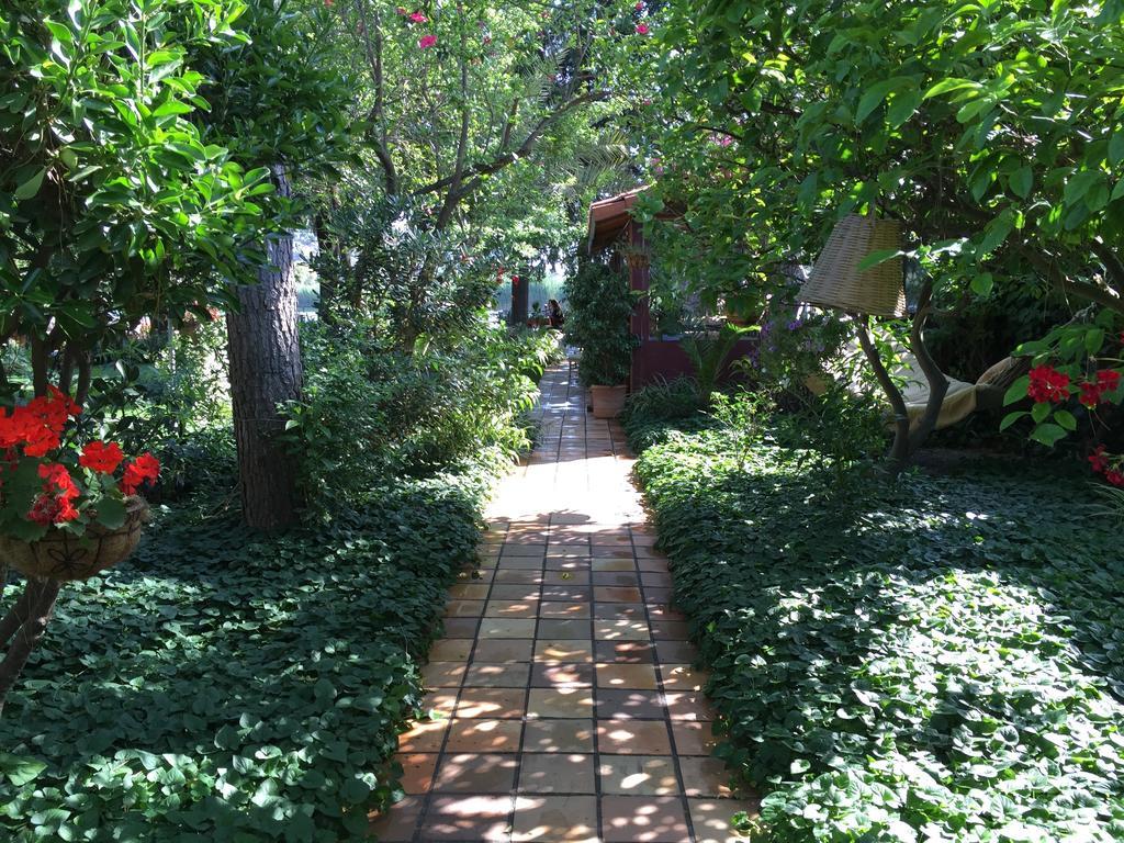 Hotel Happy Caretta Dalyan Ngoại thất bức ảnh