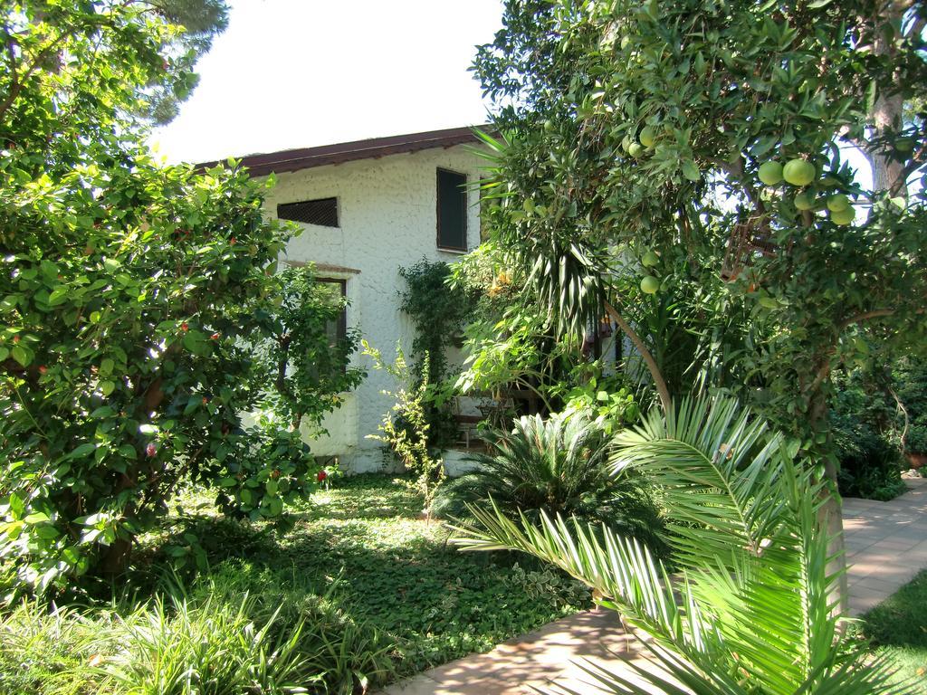 Hotel Happy Caretta Dalyan Ngoại thất bức ảnh