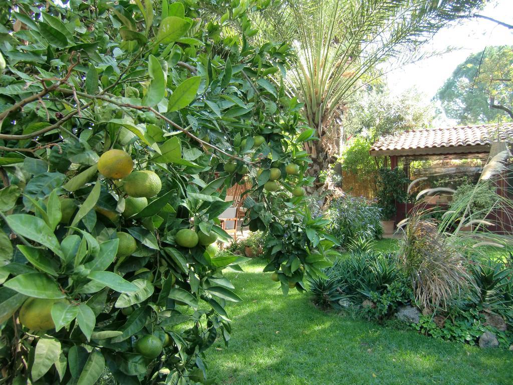 Hotel Happy Caretta Dalyan Ngoại thất bức ảnh