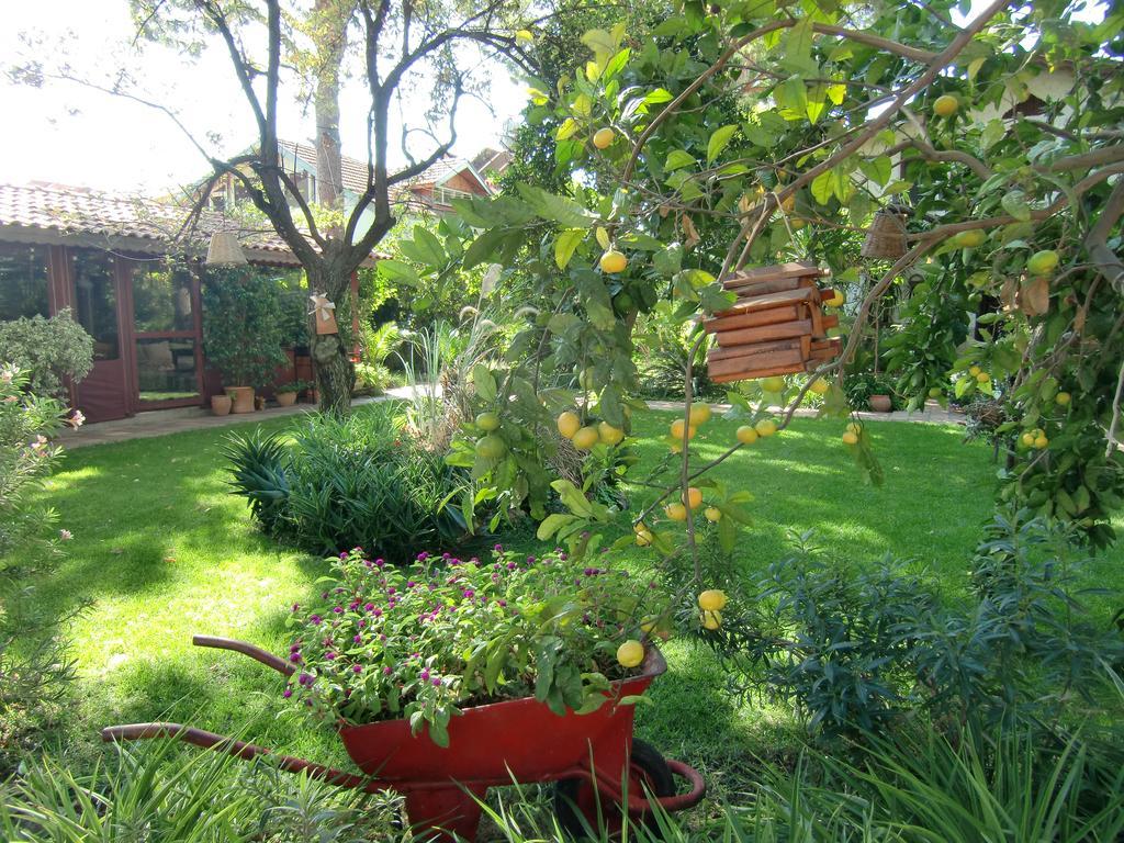 Hotel Happy Caretta Dalyan Ngoại thất bức ảnh