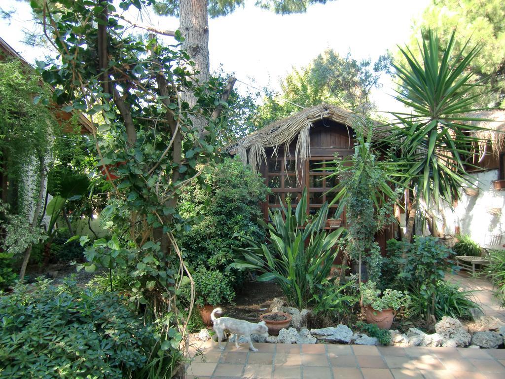 Hotel Happy Caretta Dalyan Ngoại thất bức ảnh