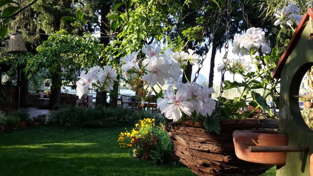 Hotel Happy Caretta Dalyan Ngoại thất bức ảnh